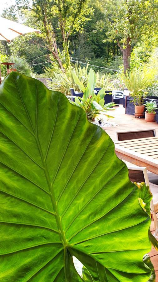 Villa Libellule Cenac Ngoại thất bức ảnh